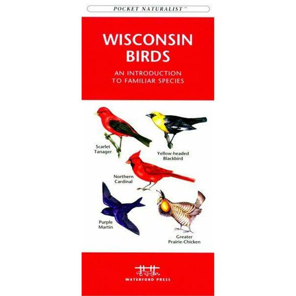 Waterford Press Wisconsin Birds Book Pocket Naturalist - WFP1583551707